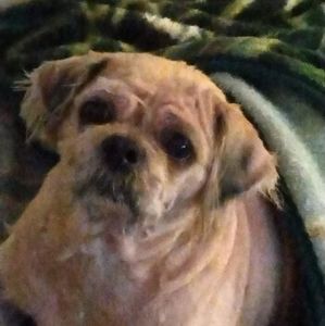 Meet your Posher, Doreen